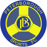 Питърбъро Спортс - Logo