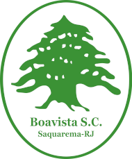 Боависта РЖ - Logo