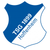 Hoffenheim II - Logo