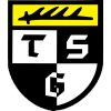 TSG Balingen - Logo