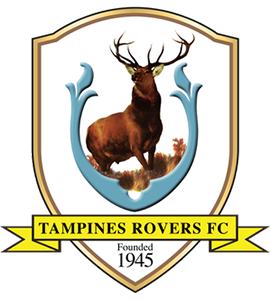 Тампинес Роверс - Logo