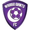 Wakiso Giants - Logo