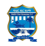 Бахир Дар Кенема - Logo
