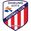 Сихунг Ситизън - Logo