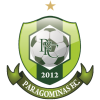 Парагоминас ФК/ПА - Logo