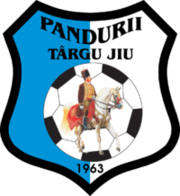 Pandurii Targu Jiu - Logo