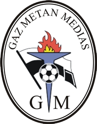 Gaz Metan Medias - Logo