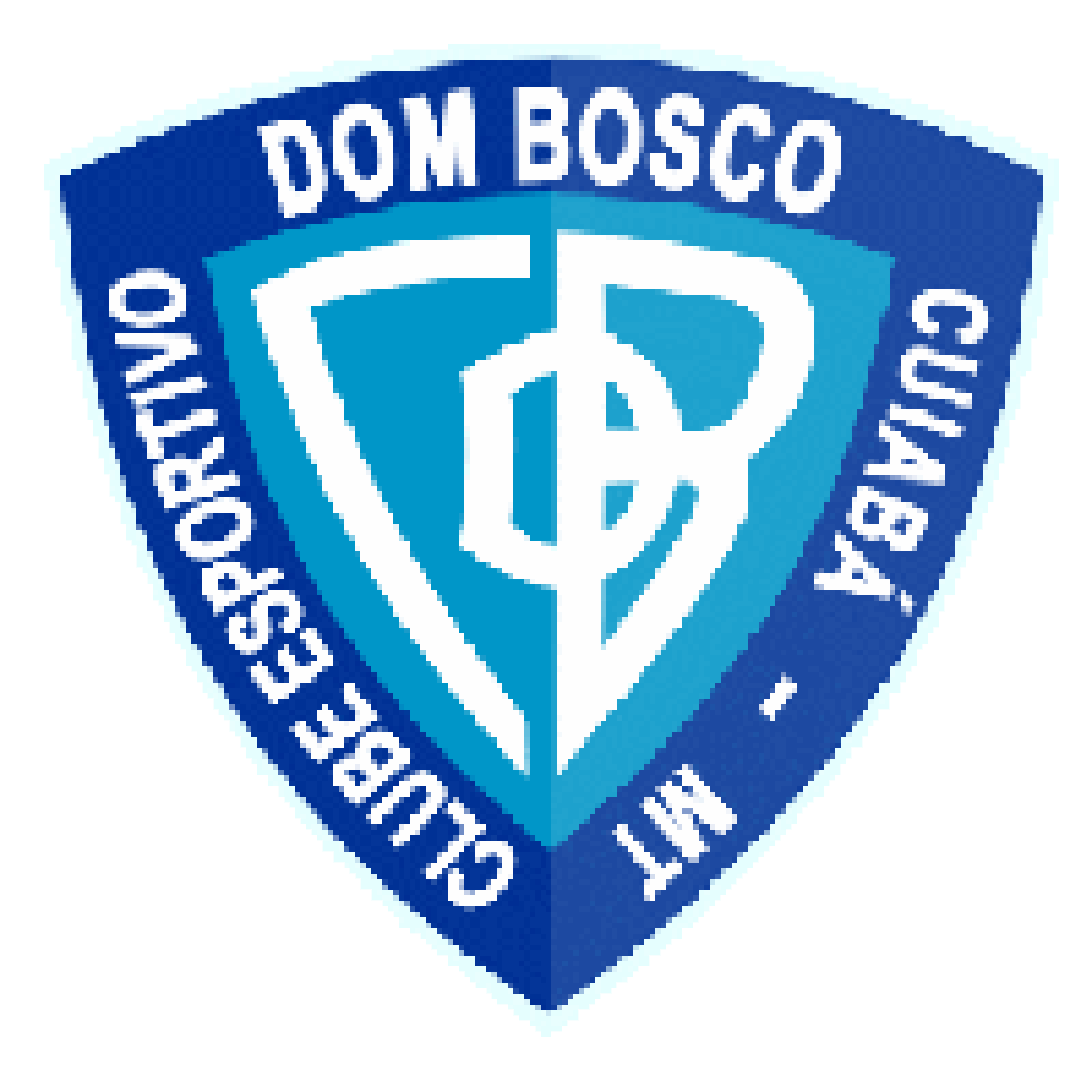 Дом Боско - Logo