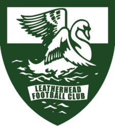 Leatherhead - Logo