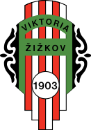 Виктория Жижков - Logo