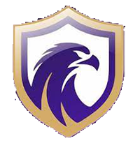 Falcon - Logo