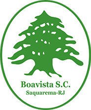 Боависта U20 - Logo