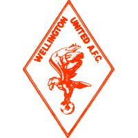 Уелингтън Юнайтед - Logo