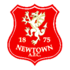 Ньютаун - Logo