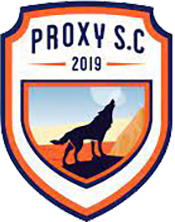 Прокси - Logo