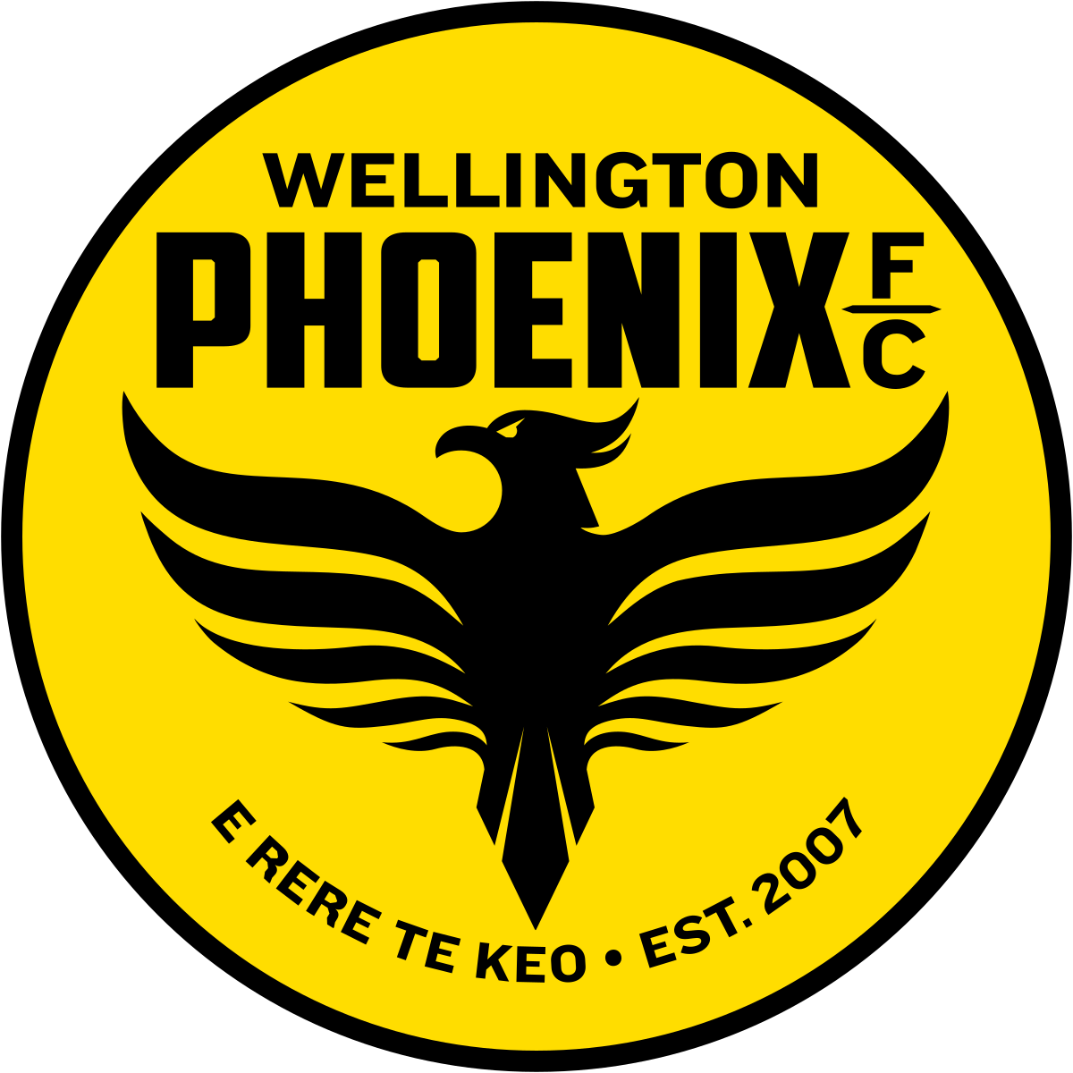 Веллингтон Феникс (Ж) - Logo