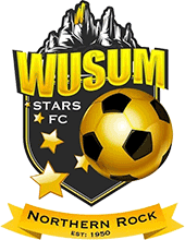 Вусум Старс - Logo