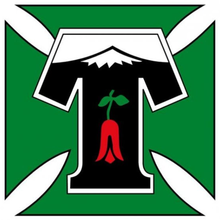 Депортес Темуко - Logo