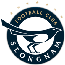 Сеонгнам ФК - Logo