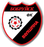 Белшина Бобруйск - Logo