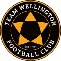Тим Уелингтън - Logo