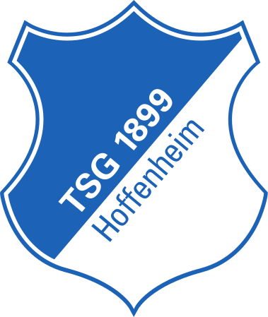 Хофенхайм - Logo