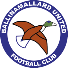 Баллинамаллард Юнайтед - Logo