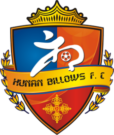 Хунан Ксянгтао - Logo