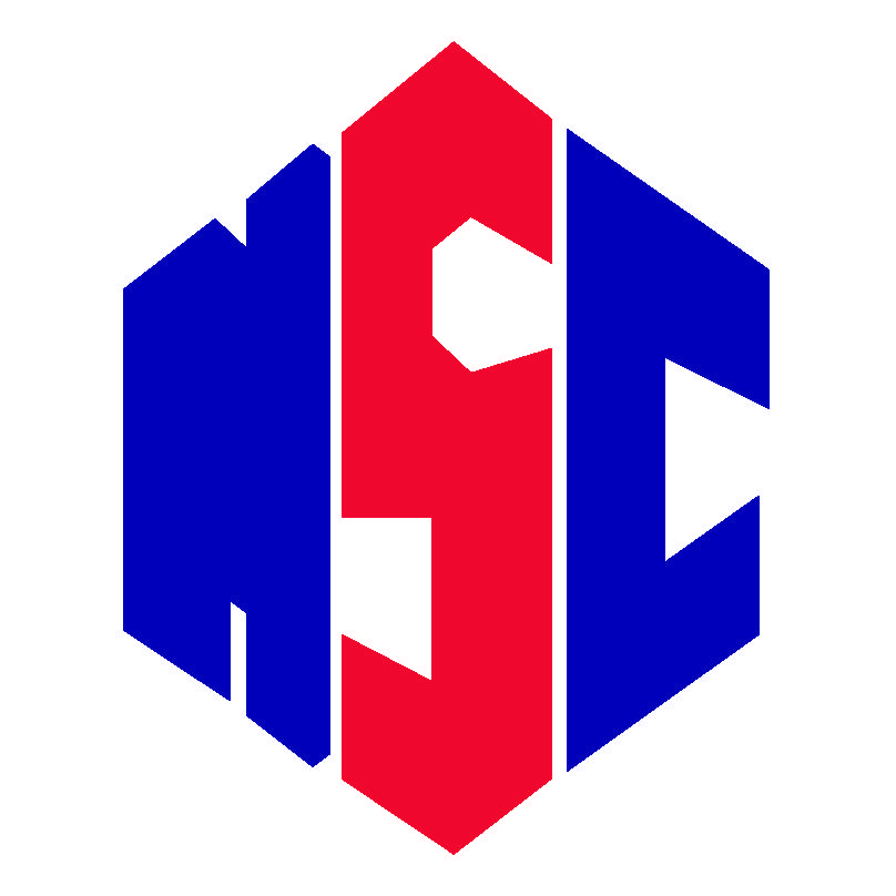 Нзоя Юнайтед - Logo
