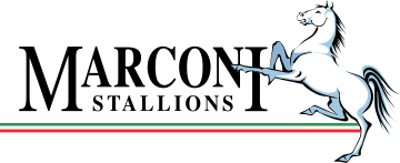 Маркони Сталлионс - Logo
