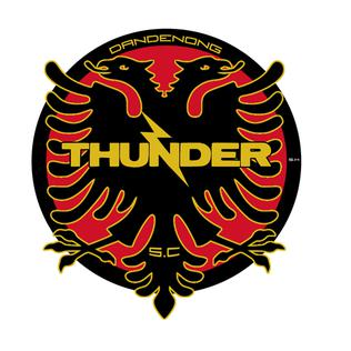 Данденонг Тъндър - Logo