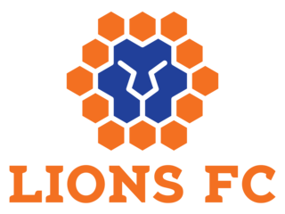 QLD Lions - Logo