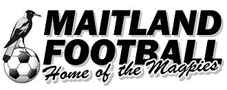 Мейтланд ФК - Logo