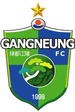 Гангненг Сити - Logo