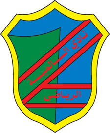 Салмия СК - Logo
