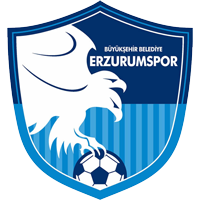 Эрзурум - Logo
