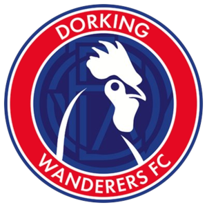 Доркинг Уондърърс - Logo