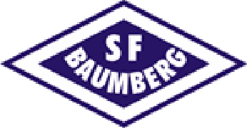 Баумберг - Logo