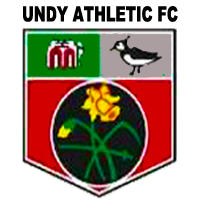 Унди - Logo