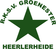 Гроене Стер - Logo