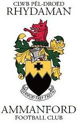 Аманфорд - Logo