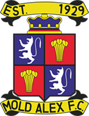 Молд Александра - Logo