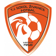 Сокол Живанице - Logo