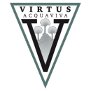 Виртус - Logo