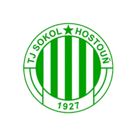 Сокол Хостоун - Logo