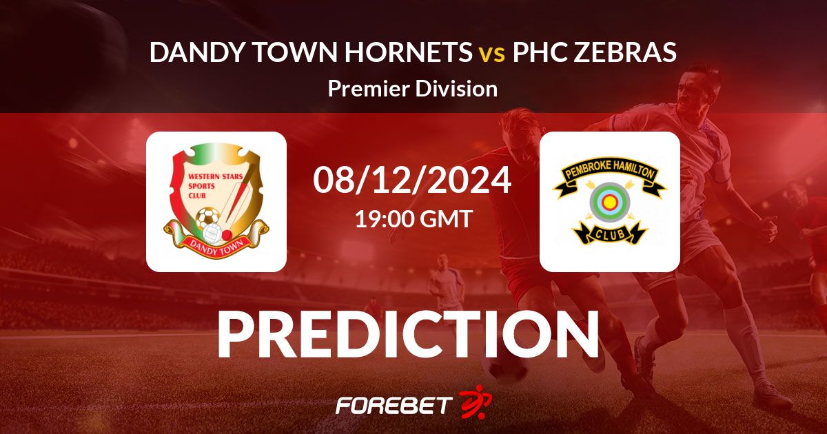 Dandy Town vs PHC Zebras Prediction, Stats, H2H 08 Dec 2024